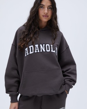 Adanola Varsity Oversized Hoodie Koffie | 96120-CYWU